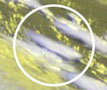 Спутниковый снимок (EUMETSAT, 16:00мск)
