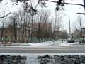 Перекрёсток ул. Сосновой и ул. Багратиона