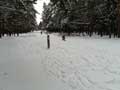 Лыжня в декабре. Повезло...