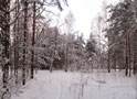 Парк Ёлочки (панорама)