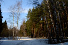 Парк Ёлочки