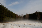 Парк Ёлочки